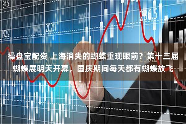 操盘宝配资 上海消失的蝴蝶重现眼前？第十三届蝴蝶展明天开幕，国庆期间每天都有蝴蝶放飞